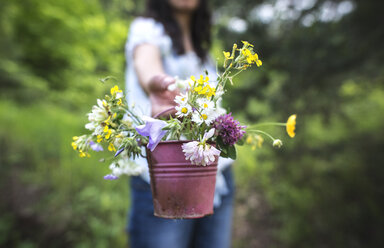 Frau bietet kleinen Eimer mit Wildblumen an - DEGF000822