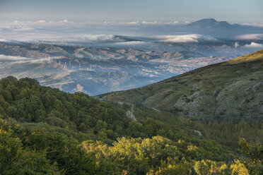 Italy, Sicily, Madonie, Parco delle Madonie in autumn in the morning - HWOF000100