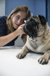 Tierarzt untersucht die Ohren eines Hundes mit einem Otoskop in einer Tierklinik - ABZF000614
