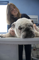 Tierarzt, der einen Hund mit einem Stethoskop in einer Tierklinik untersucht - ABZF000624