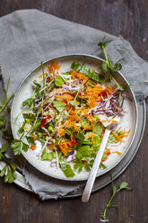 Regenbogensalat mit Blattspinat, Erbsen, Möhren, Mungobohnensprossen, Quinoa, Petersilie, Erbsensprossen, Rotkohl - SBDF002923