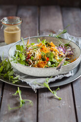 Rainbow salad with spinach leaves, peas, carrots, mung bean sprouts, quinoa, parsly, pea sprouts, red cabbage - SBDF002925