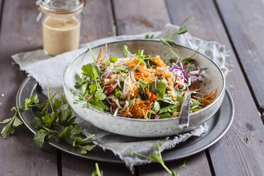 Rainbow salad with spinach leaves, peas, carrots, mung bean sprouts, quinoa, parsly, pea sprouts, red cabbage - SBDF002926