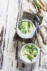 Cream of white asparagus soup garnished with white and green asparagus spears, pea shots and chives - SBDF002936