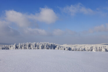 Deutschland, Sachsen, Erzgebirge, schneebedeckte Bäume in Winterlandschaft - RUEF001705