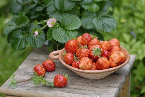Schale mit Erdbeeren, lizenzfreies Stockfoto