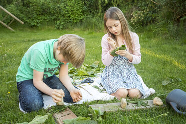 Brother and his little sister playing 'cooking' with herbs on a meadow - SARF002731