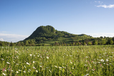 Deutschland, Baden-Württemberg, Landkreis Konstanz, Hegau, Blick auf Hohentwiel und Blumenwiese - ELF001737