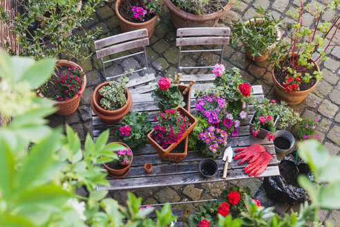 Gartenarbeit, verschiedene Frühlings- und Sommerblumen, Gartengeräte auf dem Gartentisch - GWF004720