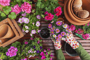 Gartenarbeit, verschiedene Frühlings- und Sommerblumen, Blumenkästen und Gartengeräte, Pflanzgefäße - GWF004724