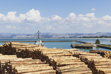 Neuseeland, Nordinsel, Gisborne, Industriehafen, Eastland Port, Holzindustrie, Lagerung von Rundholz für den Versand, Holz, Monterey Kiefer - GWF004731