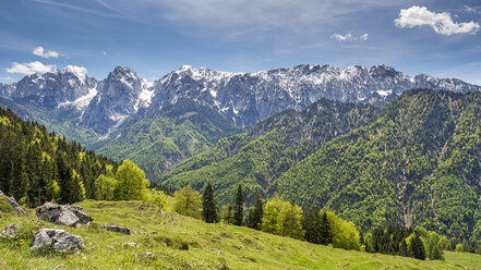 Austria, Tyrol, Alps, Kaisertal, Wilder Kaiser - STSF001023