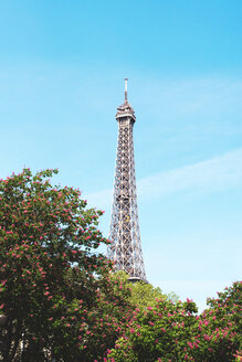 Frankreich, Paris, Eiffelturm zwischen den blühenden Bäumen an einem sonnigen Tag mit blauem Himmel - GEMF000912