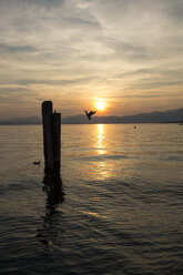 Italien, Venetien, Bardolino, Gardasee bei Sonnenuntergang - SARF002733