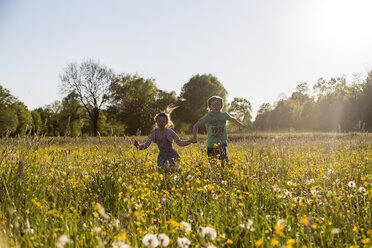 Bruder und Schwester laufen im Frühling über ein Blumenfeld - SARF002745