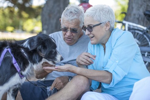 Elderly couple feeding their dog outdoors - ZEF008705