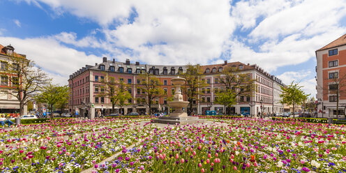 Germany, Munich, view of blossoming tulips on Gaertnerplatz - WDF003640