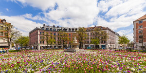 Deutschland, München, Blick auf blühende Tulpen auf dem Gaertnerplatz - WDF003640