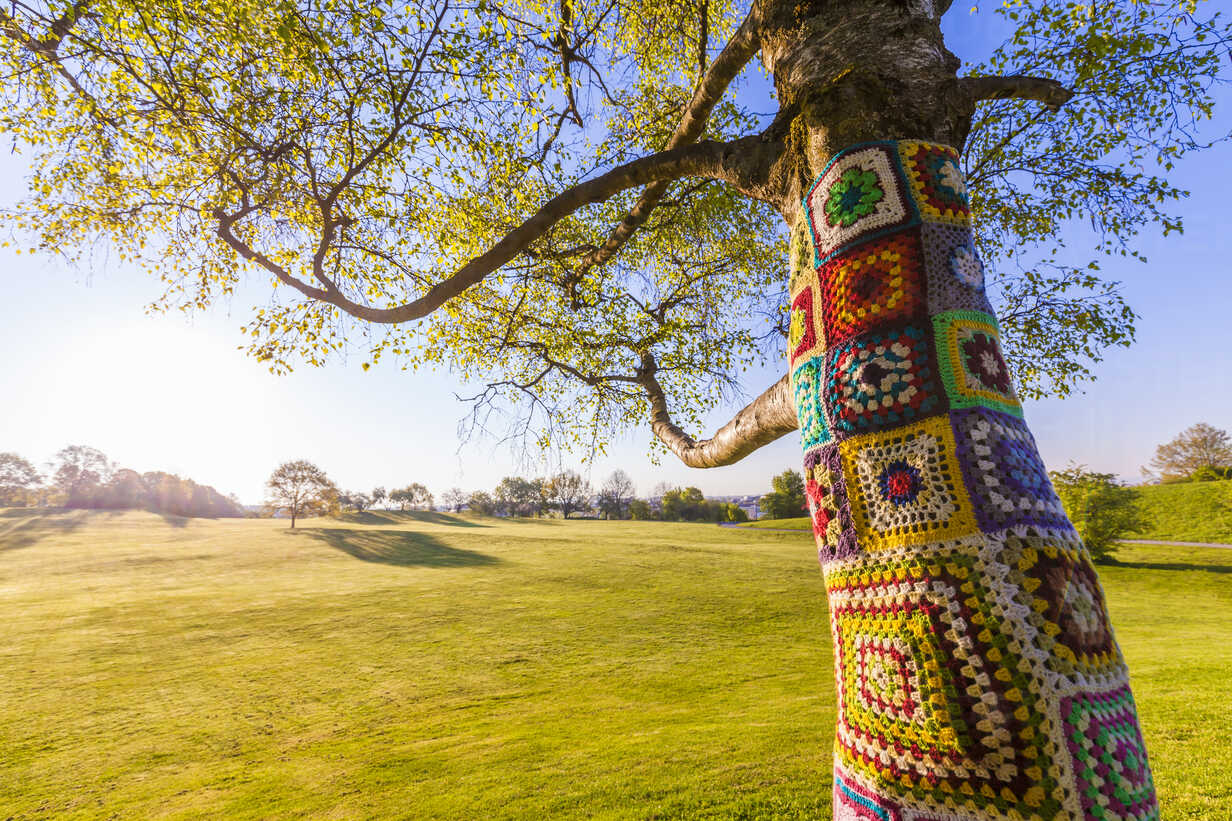 Colorful crochet knit tree trunk (yarn bombing) Stock Photo