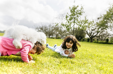Zwei kleine Schwestern spielen mit ihrem Hund auf einer Wiese, lizenzfreies Stockfoto