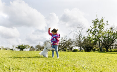 Kleines Mädchen spielt mit ihrem Hund auf einer Wiese - MGOF001927