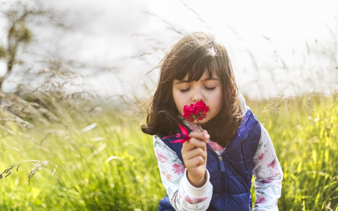 Portrait of little girl smelling red flower stock photo
