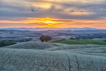 Italien, Toskana, Val d'Orcia, Felder bei Sonnenuntergang - LOMF000301