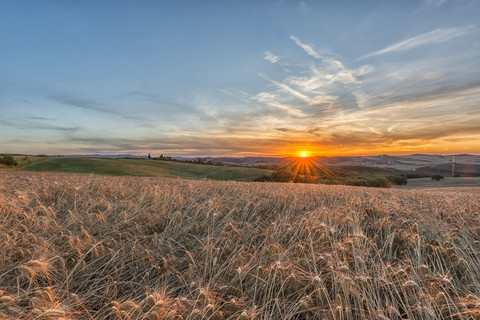 Italien, Toskana, Val d'Orcia, Felder bei Sonnenuntergang, lizenzfreies Stockfoto