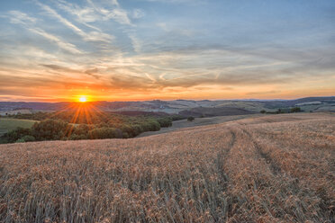 Italy, Tuscany, Val d'Orcia, Fields at sunset - LOMF000304