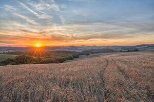 Italien, Toskana, Val d'Orcia, Felder bei Sonnenuntergang - LOMF000304