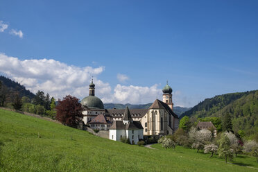 Deutschland, Baden-Württemberg, Breisgau-Hochschwarzwald, Münstertal, St. Trudpert's Abbey - ELF001742