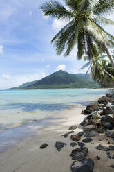 Thailand, Koh Phangan, palm trees on beach - SBOF000027