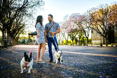 Couple talking while walking their dogs - KIJF000413