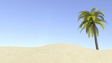 Palm tree and dune in front of blue sky, 3D Rendering - UWF000904