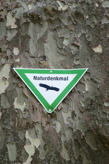 Naturschutzschild an alter Platane - EL001755