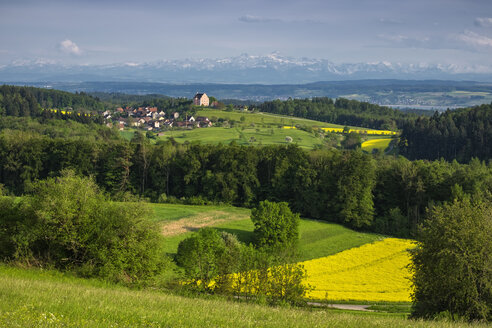 Deutschland, Baden-Württemberg, Landkreis Konstanz, Blick über Bodanrück zum Schloss Freudental, im Hintergrund Schweizer Alpen mit Saentis - EL001763