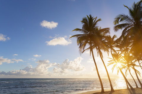 Dominikanische Republik, Tropischer Strand mit Palmen bei Sonnenuntergang, lizenzfreies Stockfoto