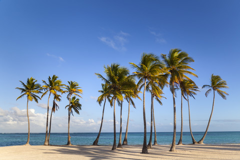 Dominikanische Republik, Tropischer Strand mit Palmen, lizenzfreies Stockfoto