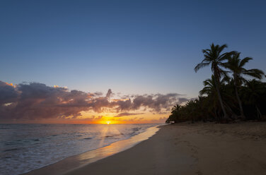 Dominikanische Republik, Tropischer Strand mit Palmen bei Sonnenuntergang - HSIF000465