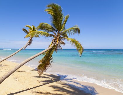 Dominikanische Republik, Tropischer Strand mit Palmen - HSIF000469