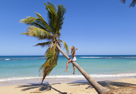 Dominikanische Republik, Junge Frau klettert auf Palme am tropischen Strand - HSIF000471