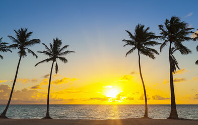 Dominikanische Republik, Tropischer Strand mit Palmen bei Sonnenuntergang - HSIF000473