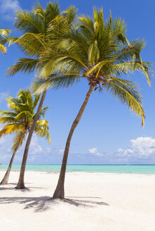 Dominikanische Republik, Tropischer Strand mit Palmen - HSIF000479