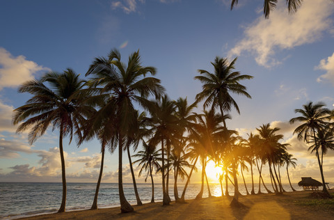 Dominikanische Republik, Tropischer Strand mit Palmen bei Sonnenuntergang, lizenzfreies Stockfoto