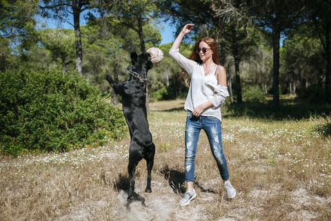 Junge Frau spielt mit ihrem Hund mit einem Ball, lizenzfreies Stockfoto