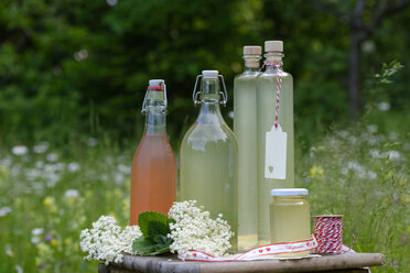 Sirup aus Holunderblüten und Rhabarber in Flaschen und Gläsern - LBF001428