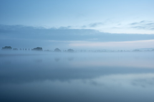 Deutschland, Landkreis Konstanz, Bodensee, Blick auf die Radolfzeller Aach am Morgen, Nebel - ELF001767