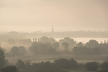 Deutschland, Landkreis Konstanz, Bodensee, Radolfzell, Blick auf das Radolfzeller Aachried am Morgen, Nebel - ELF001773