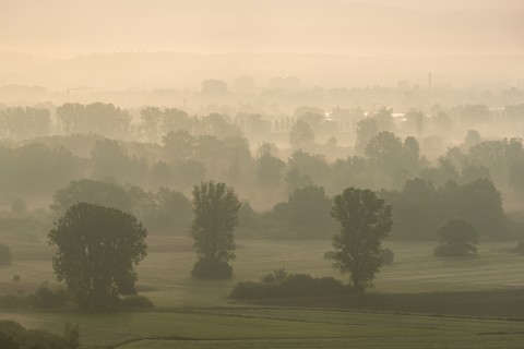 Deutschland, Landkreis Konstanz, Bodensee, Blick auf das Radolfzeller Aachried am Morgen, schilfbewachsenes Moor, lizenzfreies Stockfoto