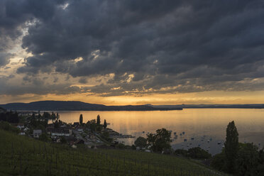 Schweiz, Thurgau, Salenstein, Blick über den Bodensee, Halbinsel Höri und Hegau am Horizont - ELF001775